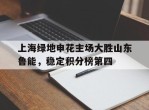 上海绿地申花主场大胜山东鲁能，稳定积分榜第四的简单介绍
